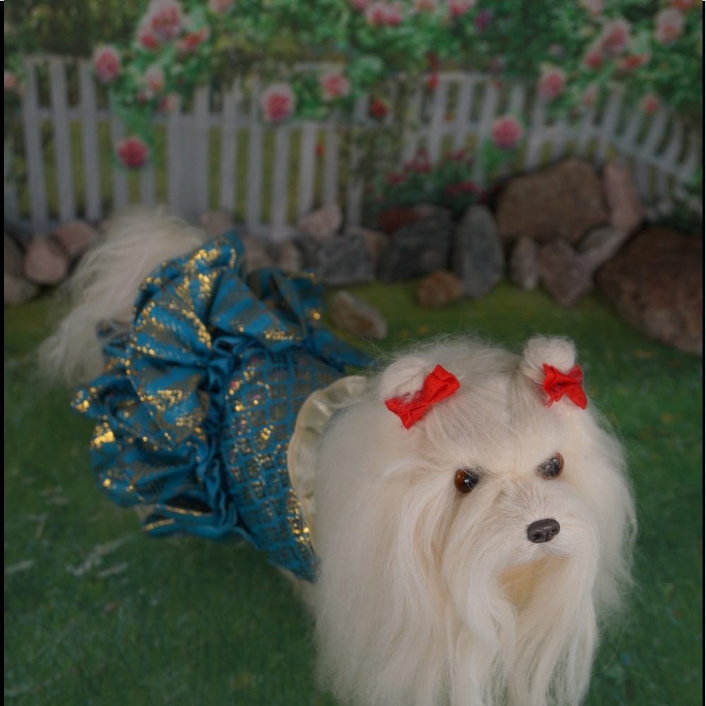 Dressy Dog Dress XSmall NEW